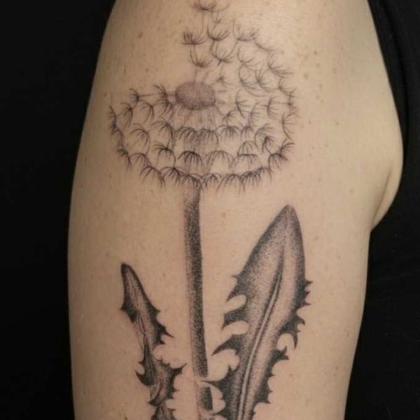 Pitypang tetovalas gyomaendrod Z8xCLeeHk3chka0IRLQOdQ (1) – Phoenix Art Design tetoválás